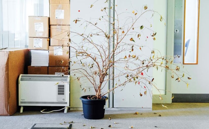 O modelo de trabalho híbrido ainda não está funcionando